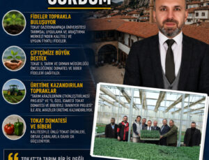 Tokat’ta Bereketin İzini Sürdüm